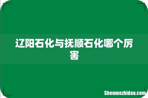 辽阳石化与抚顺石化哪个厉害