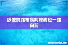 纵使前路布满荆棘我也一路向前