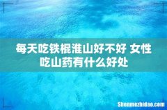 每天吃铁棍淮山好不好 女性吃山药有什么好处