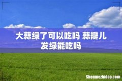 大蒜绿了可以吃吗 蒜瓣儿发绿能吃吗
