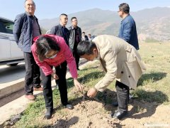 乔方电子怎么样 乔方电子是做什么的