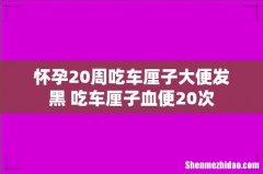怀孕20周吃车厘子大便发黑 吃车厘子血便20次
