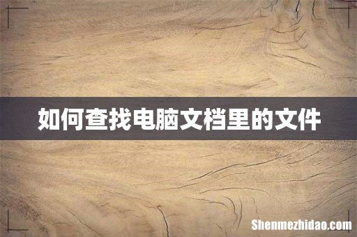 如何查找电脑文档里的文件
