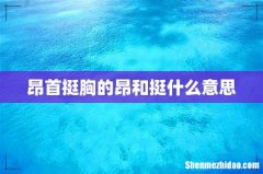 昂首挺胸的昂和挺什么意思
