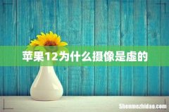 苹果12为什么摄像是虚的