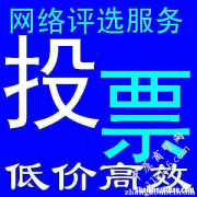 盐城人工微信投票群怎么加刷票价格 刷投票,微信上投票怎样刷票才可以让票数快速增加