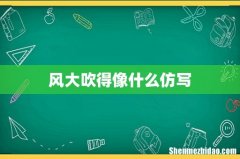 风大吹得像什么仿写