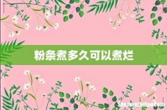 粉条煮多久可以煮烂