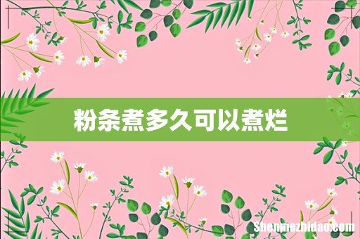 粉条煮多久可以煮烂