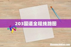 203国道全程线路图