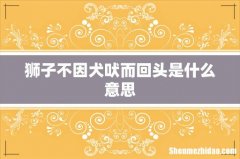 狮子不因犬吠而回头是什么意思