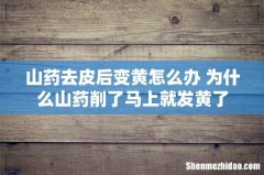 山药去皮后变黄怎么办 为什么山药削了马上就发黄了