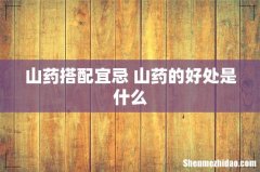 山药搭配宜忌 山药的好处是什么