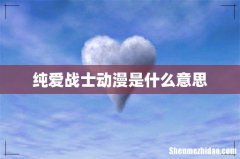 纯爱战士动漫是什么意思