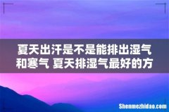 夏天出汗是不是能排出湿气和寒气 夏天排湿气最好的方法是什么