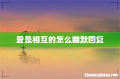爱是相互的怎么幽默回复