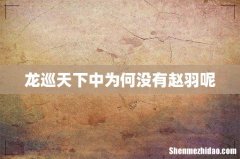 龙巡天下中为何没有赵羽呢