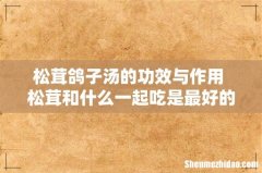 松茸鸽子汤的功效与作用 松茸和什么一起吃是最好的