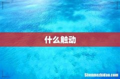 什么触动