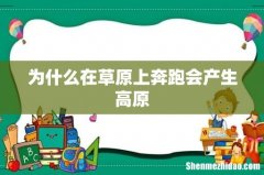 为什么在草原上奔跑会产生高原