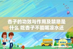杏子的功效与作用及禁忌是什么 吃杏子不能喝凉水还是热水