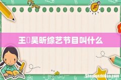 王濛吴昕综艺节目叫什么