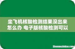 坐飞机核酸检测结果没出来怎么办 电子版核酸检测可以登机用吗
