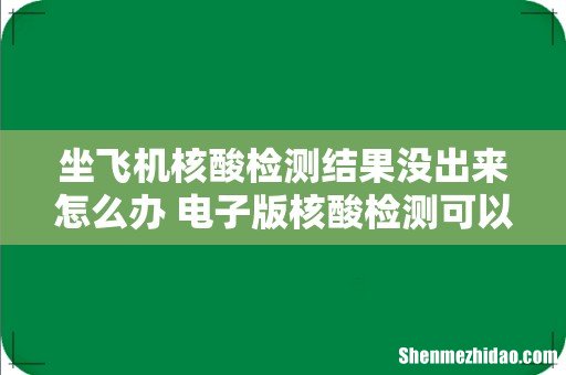 坐飞机核酸检测结果没出来怎么办 电子版核酸检测可以登机用吗