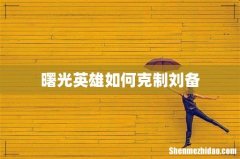 曙光英雄如何克制刘备