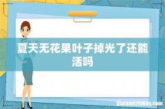 夏天无花果叶子掉光了还能活吗