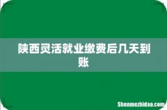 陕西灵活就业缴费后几天到账
