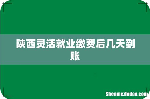 陕西灵活就业缴费后几天到账
