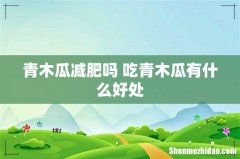 青木瓜减肥吗 吃青木瓜有什么好处