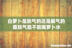 白萝卜是胀气的还是解气的 腹胀气能不能喝萝卜水