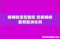 杨梅核是否能吃 吃杨梅核能帮助消化吗