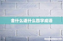 舍什么逐什么四字成语