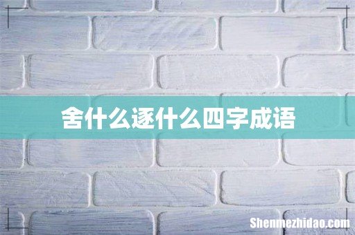 舍什么逐什么四字成语