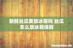 新鲜丝瓜要放冰箱吗 丝瓜怎么放冰箱保鲜