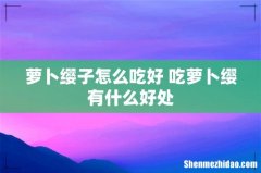 萝卜缨子怎么吃好 吃萝卜缨有什么好处