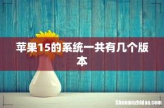 苹果15的系统一共有几个版本
