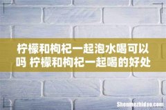 柠檬和枸杞一起泡水喝可以吗 柠檬和枸杞一起喝的好处