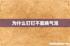 为什么钉钉不能换气泡