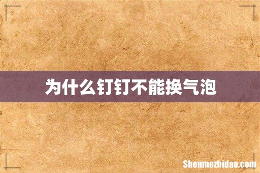 为什么钉钉不能换气泡