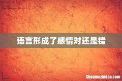 语言形成了感情对还是错