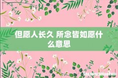 但愿人长久 所念皆如愿什么意思