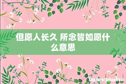 但愿人长久 所念皆如愿什么意思