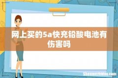 网上买的5a快充铅酸电池有伤害吗