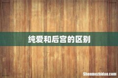 纯爱和后宫的区别