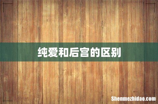 纯爱和后宫的区别