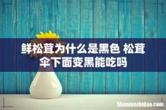 鲜松茸为什么是黑色 松茸伞下面变黑能吃吗